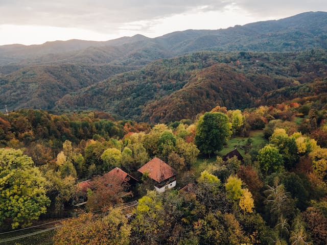 Păulești的民宿