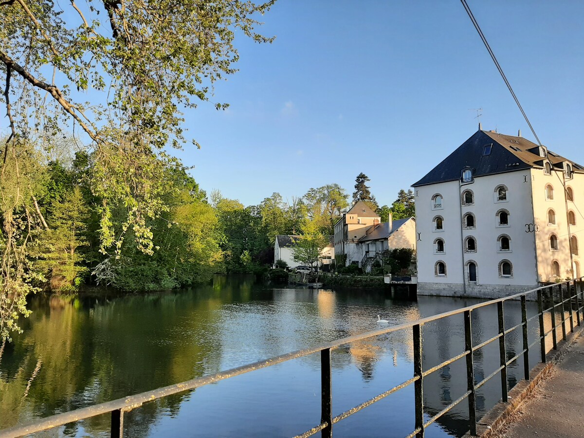 Dans moulin au bord du Loiret, appartement cosy