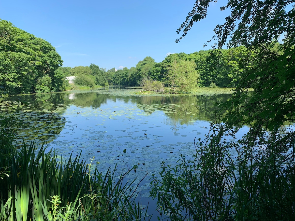 靠近湖泊和河流的美丽住宿