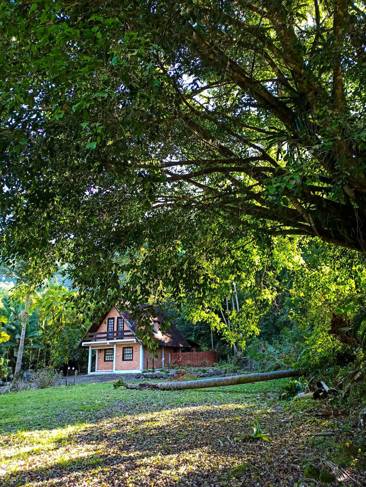 罗迪欧舒适小屋