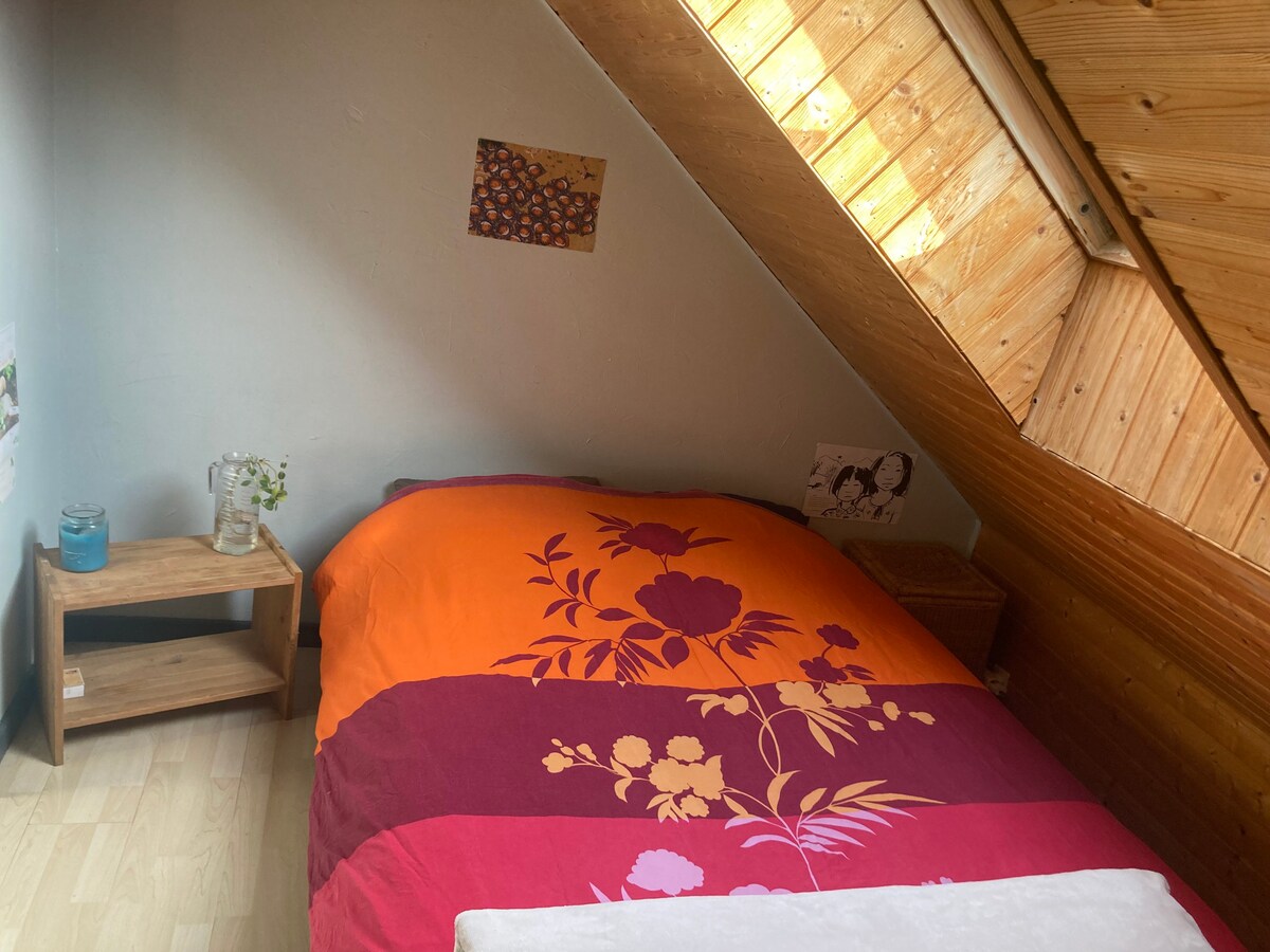 Chambre 2 dans colocation Flat-sharing