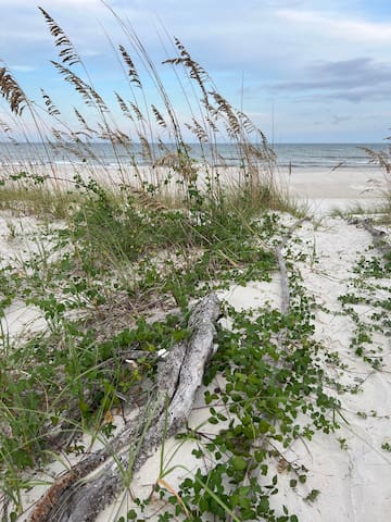 杰克逊维尔海滩（Jacksonville Beach）的民宿