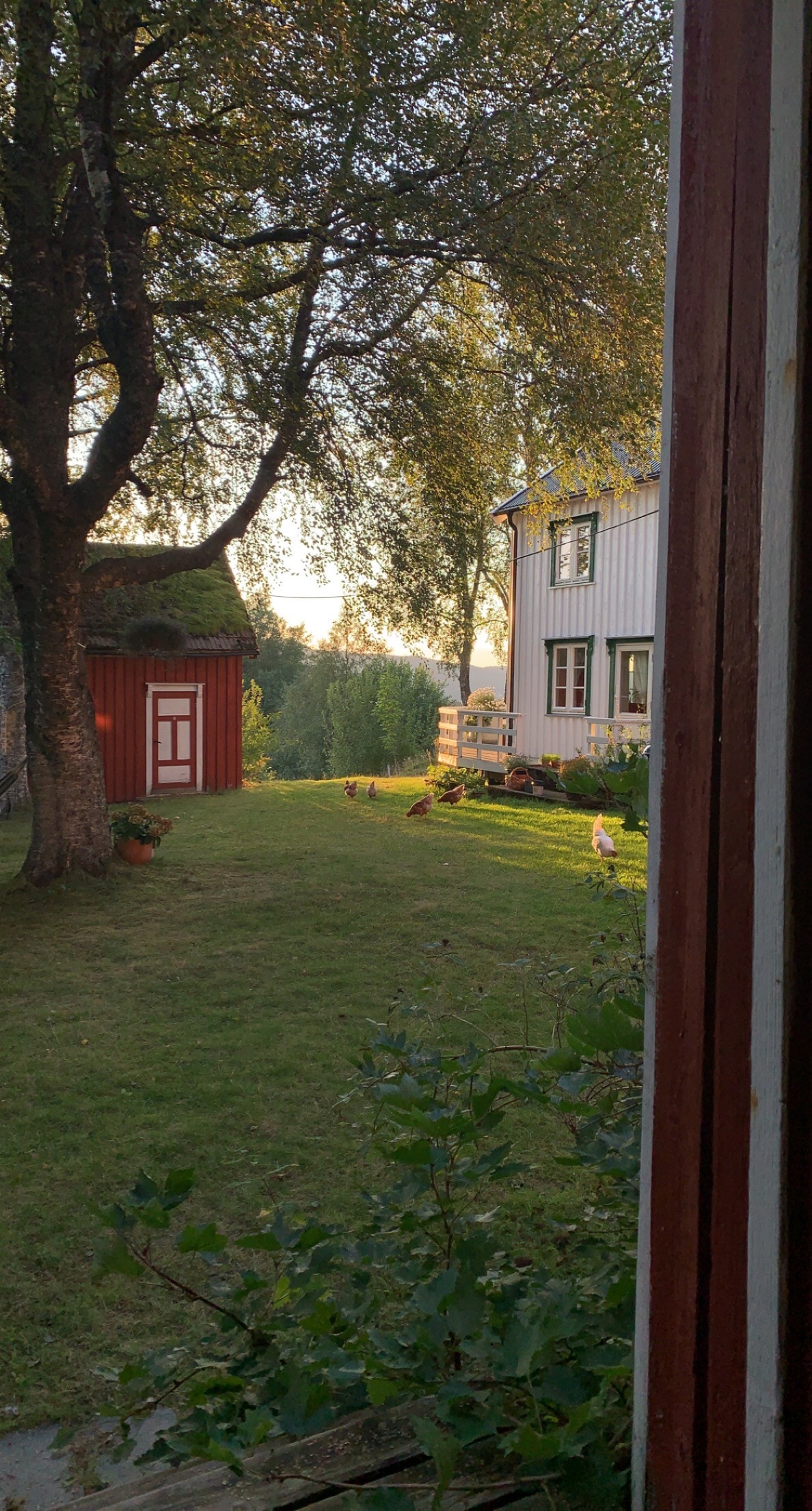 Sjarmerende småbruk i Verdal