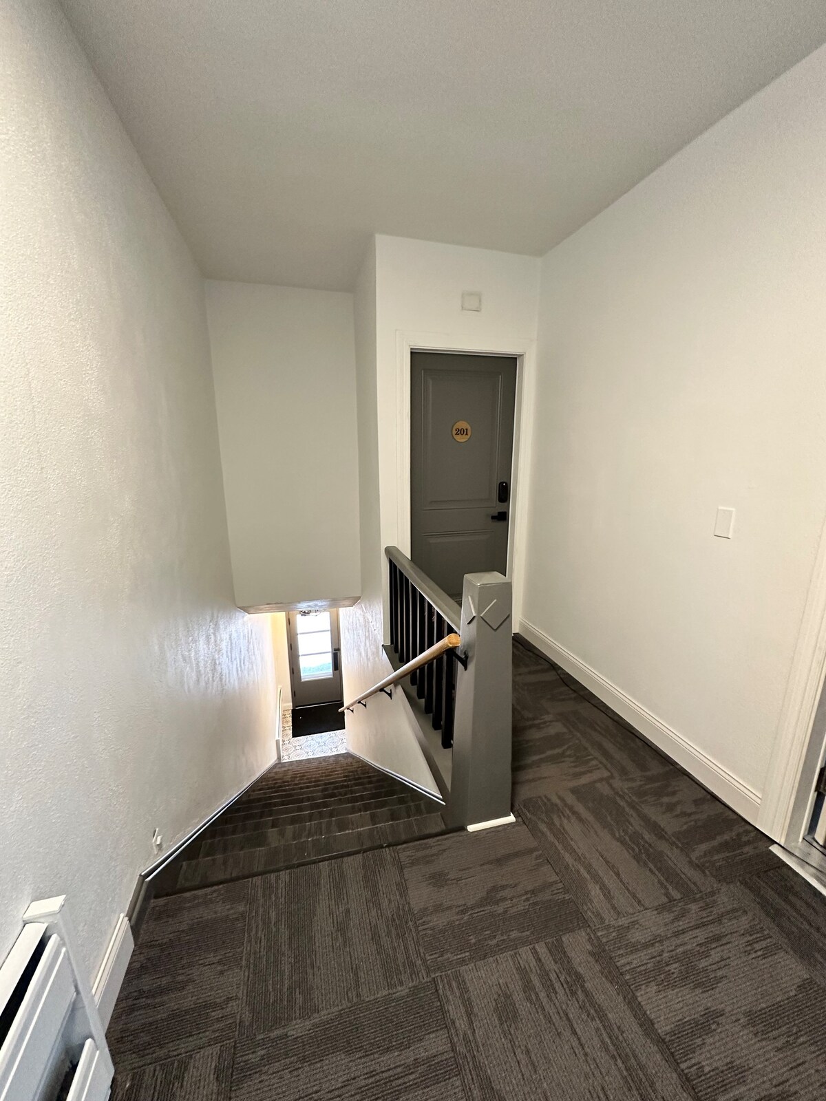 Modern one-bedroom, centrally located (204)