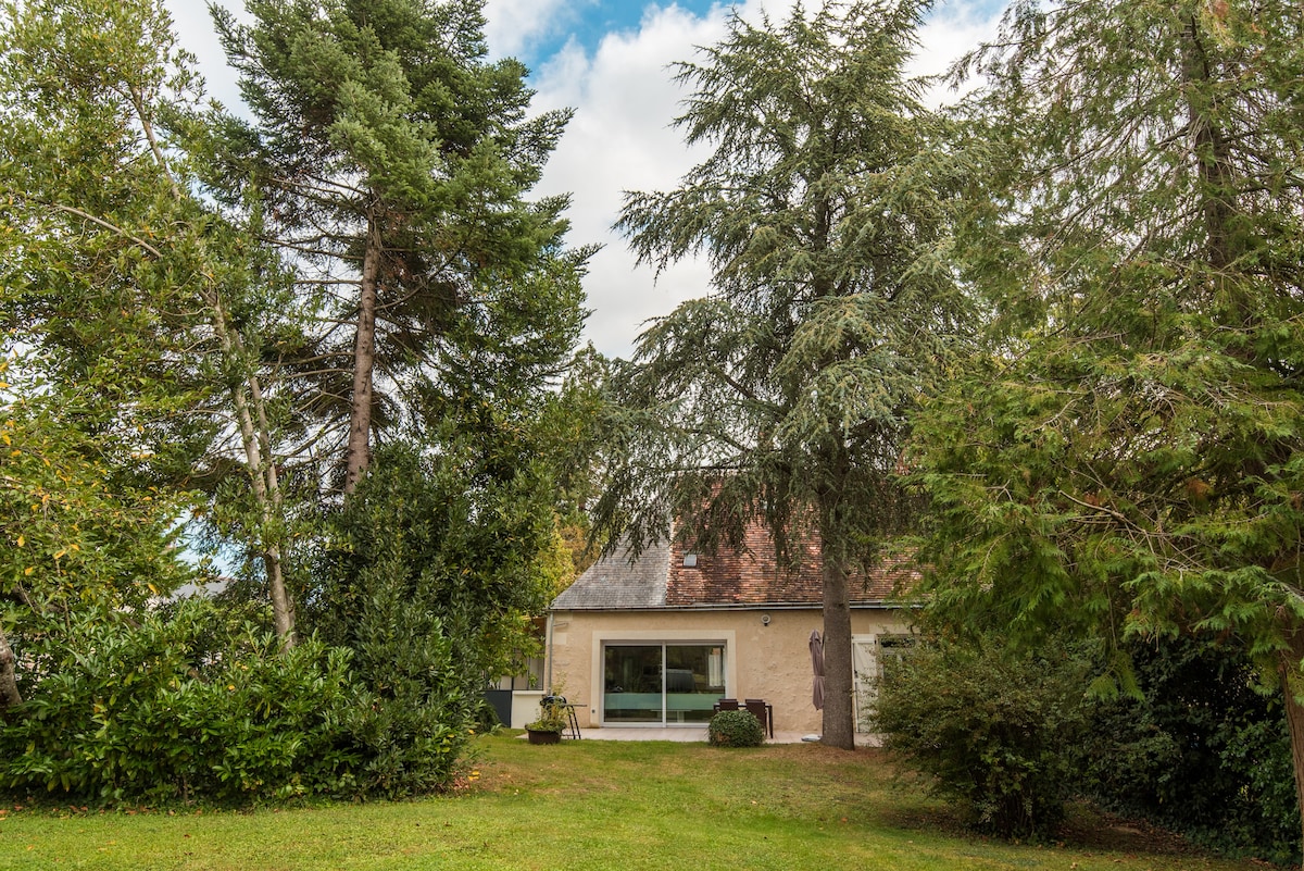 The Cedar of the Priory