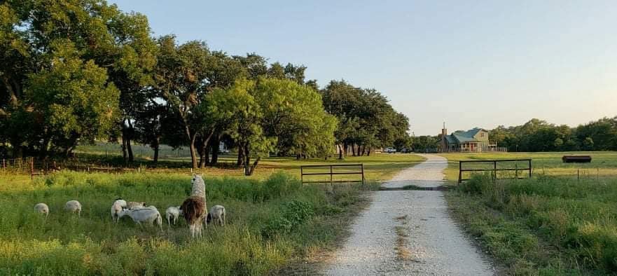 Sheep Ranch Bunkhouse Central TX