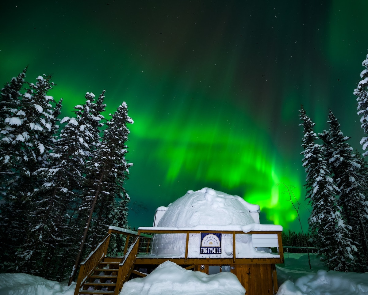 Fortymile Aurora Igloo and Reindeer