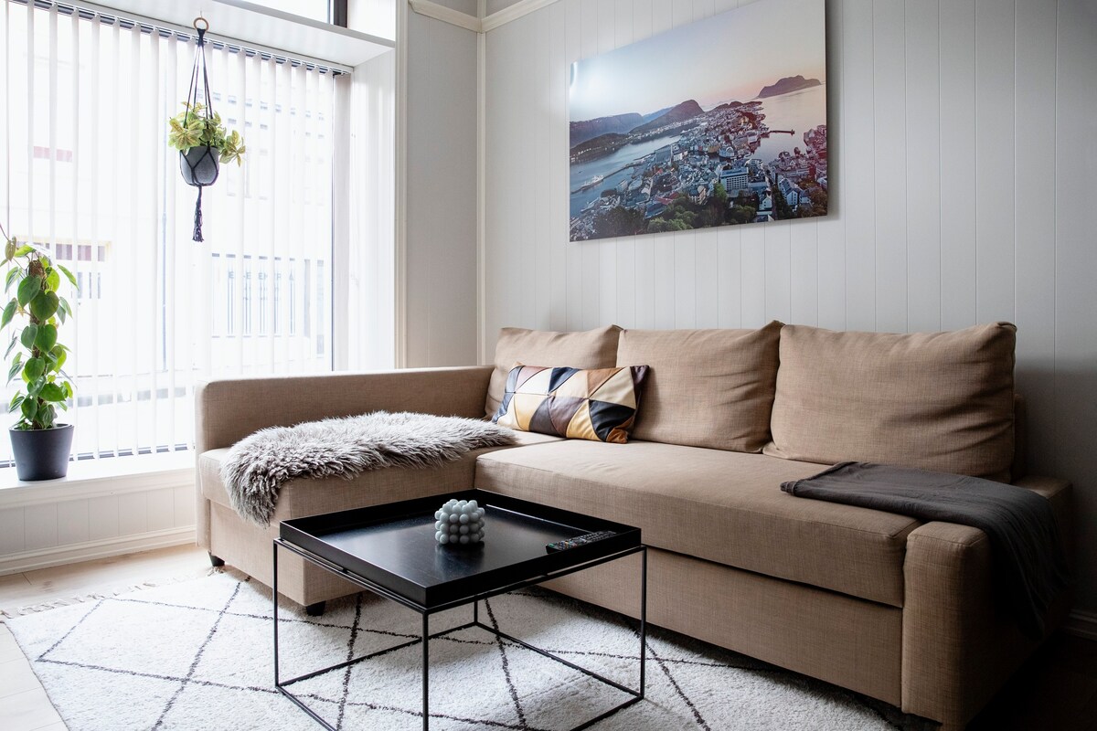 奥勒松市（ Ålesund City ）的舒适公寓