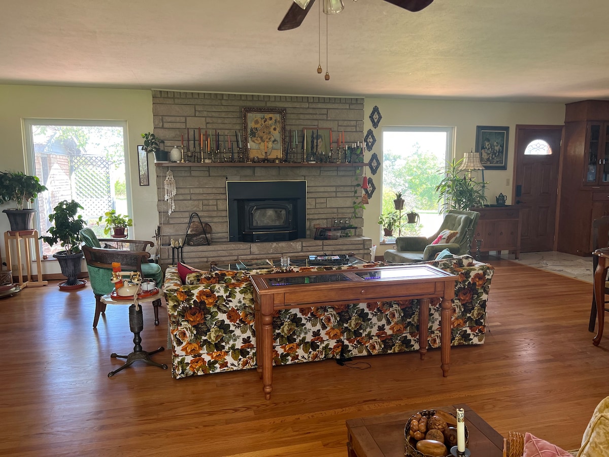 Vintage Maximalist House on a Hill