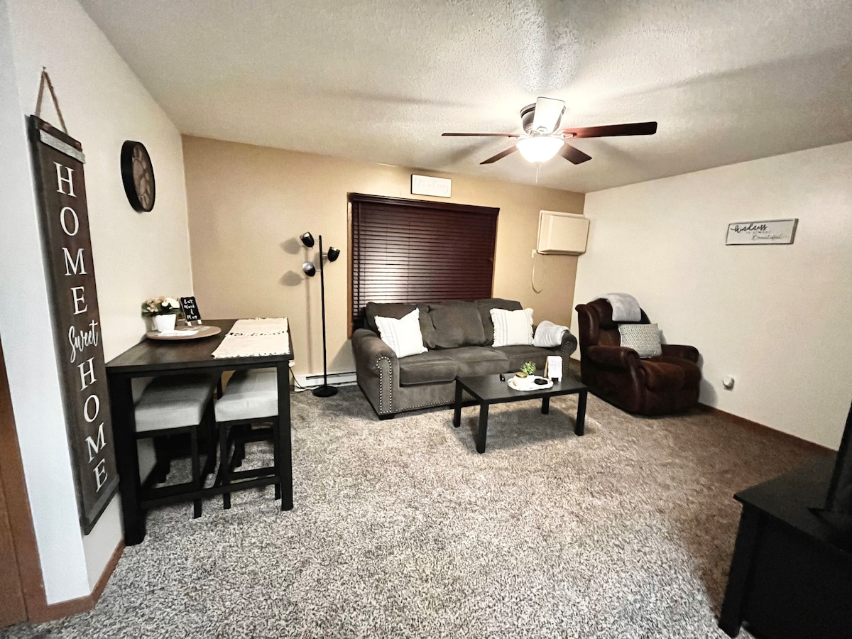 Luxury 2 BR Apt w/ King Bed