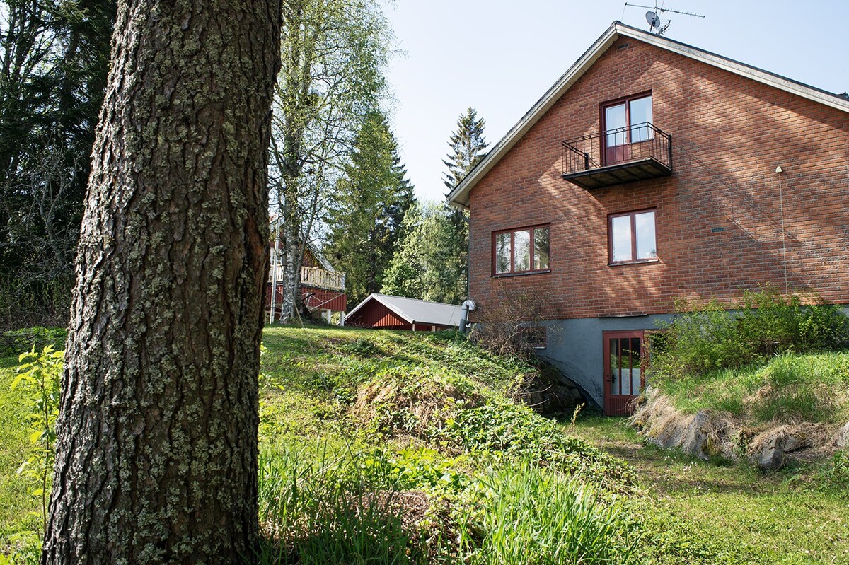 Stort hus med utsikt mot älven