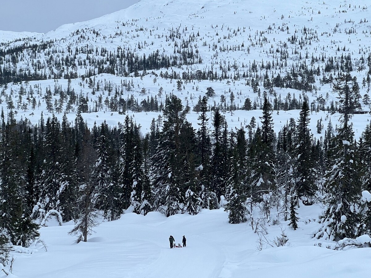 Høgevarde滑雪进出