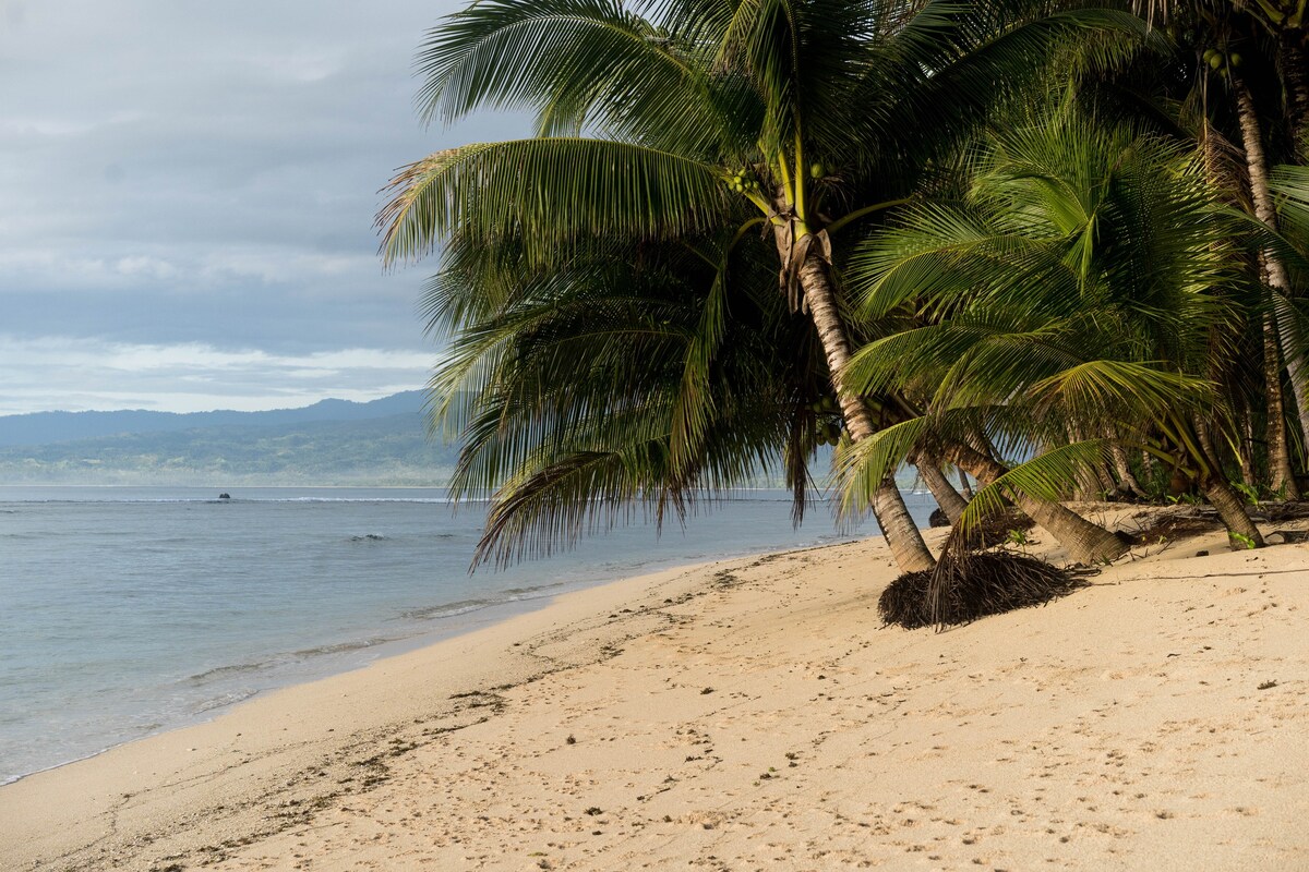 太平洋露营度假村（ Pacific Alcove Glamping Resort ）