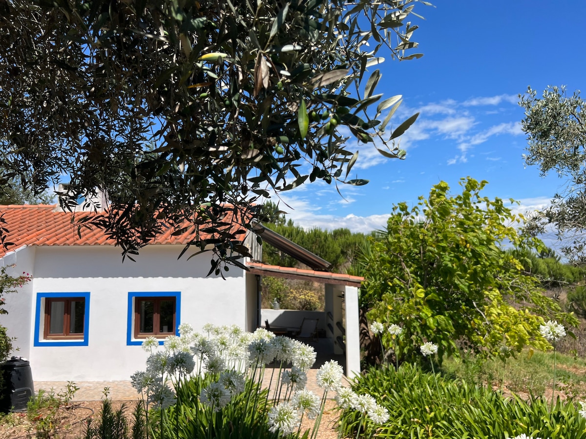 Entire cottage w/shared pool on the Rota Vicentina