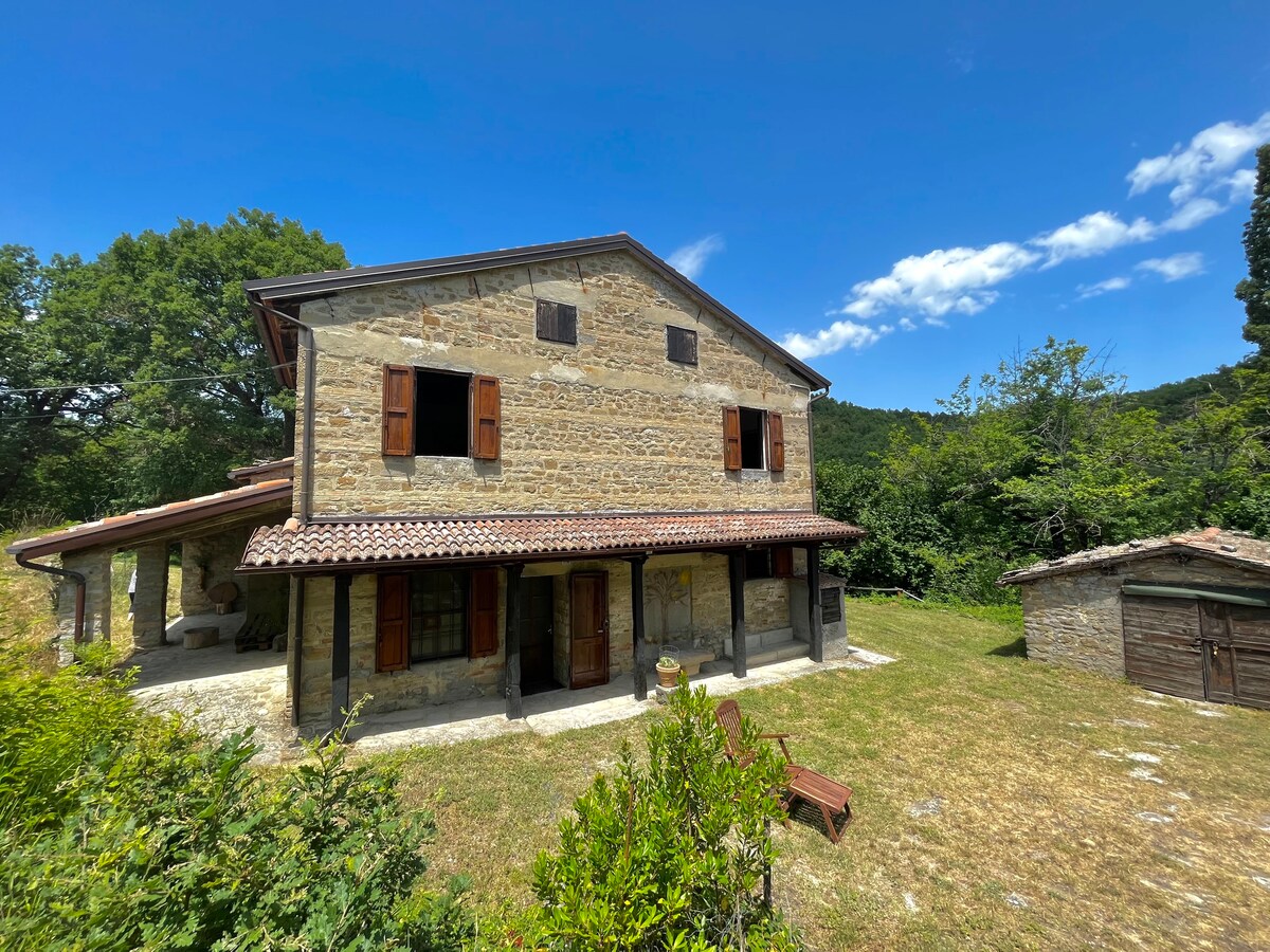 Country House - Foreste Casentinesi National Park