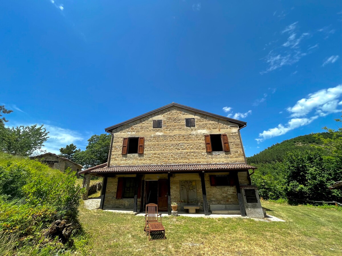 Country House - Foreste Casentinesi National Park