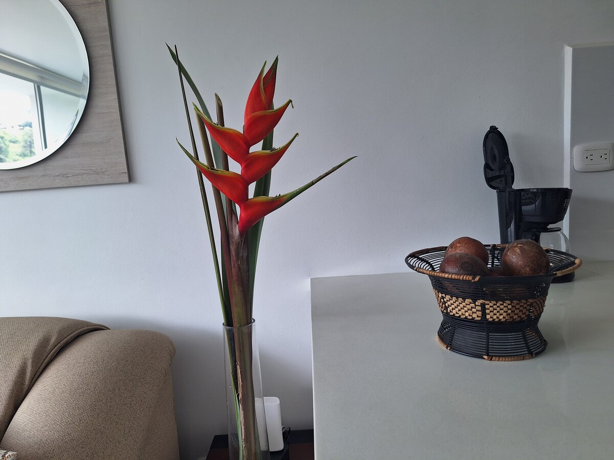 Apartamento en Manizales