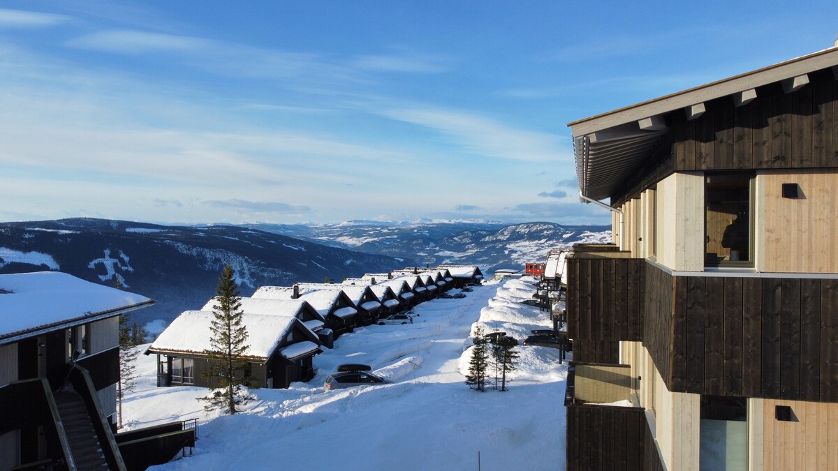 Hafjell -顶层公寓-滑雪进出