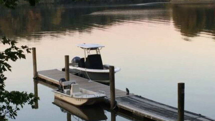 Tranquil Cabin on the Cove vacation rental