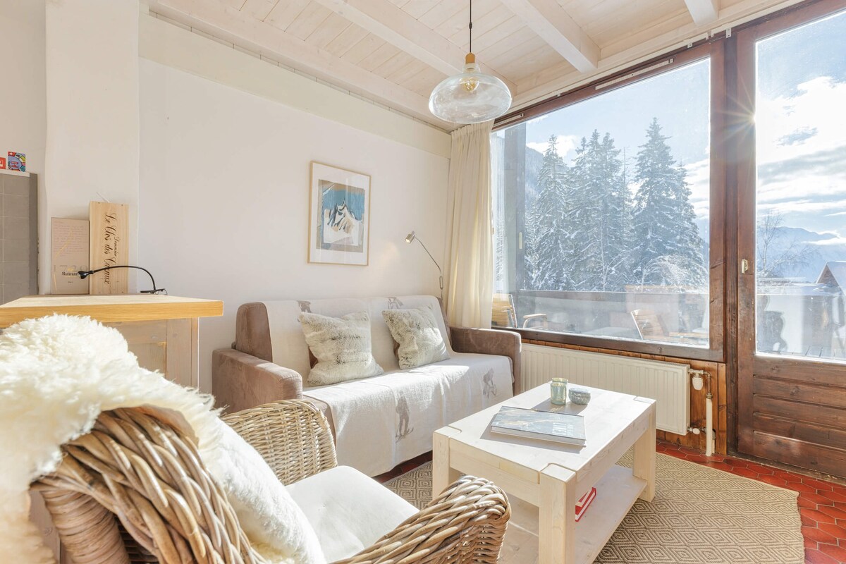 舒适的复式3卧室滑雪出入|景观| Grands Montets