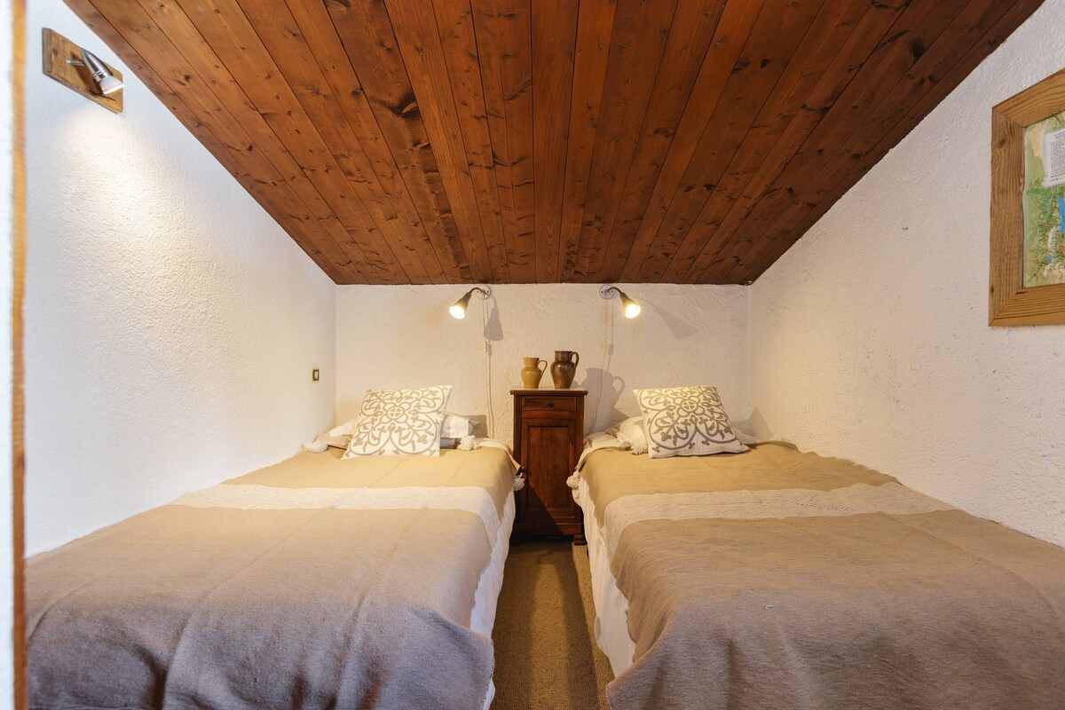 舒适的复式3卧室滑雪出入|景观| Grands Montets