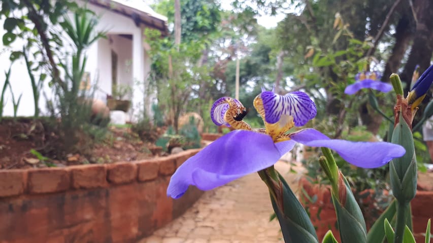 蒂拉登特斯 (Tiradentes)的民宿