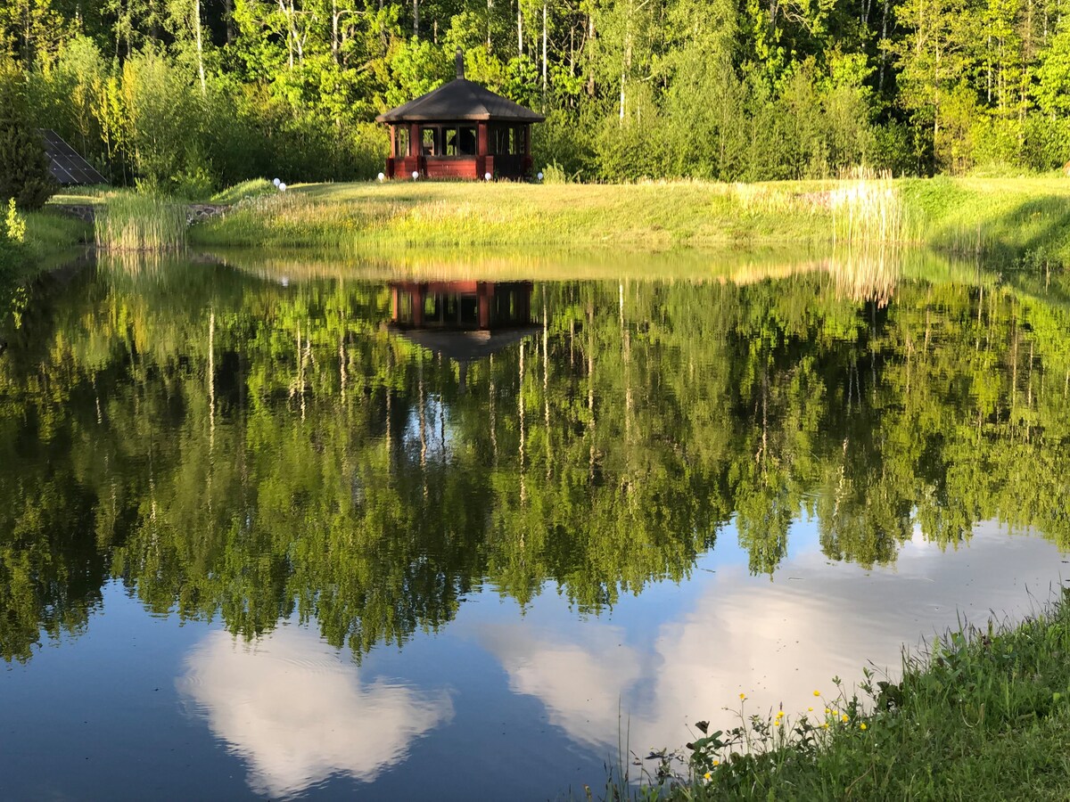 Holidayhouse with sauna and pond