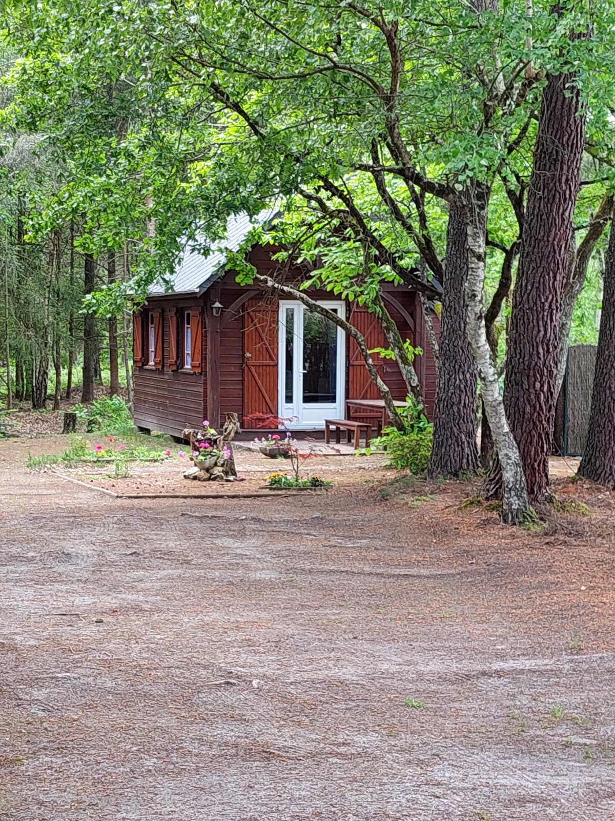 Chalet indépendant grand terrain clos