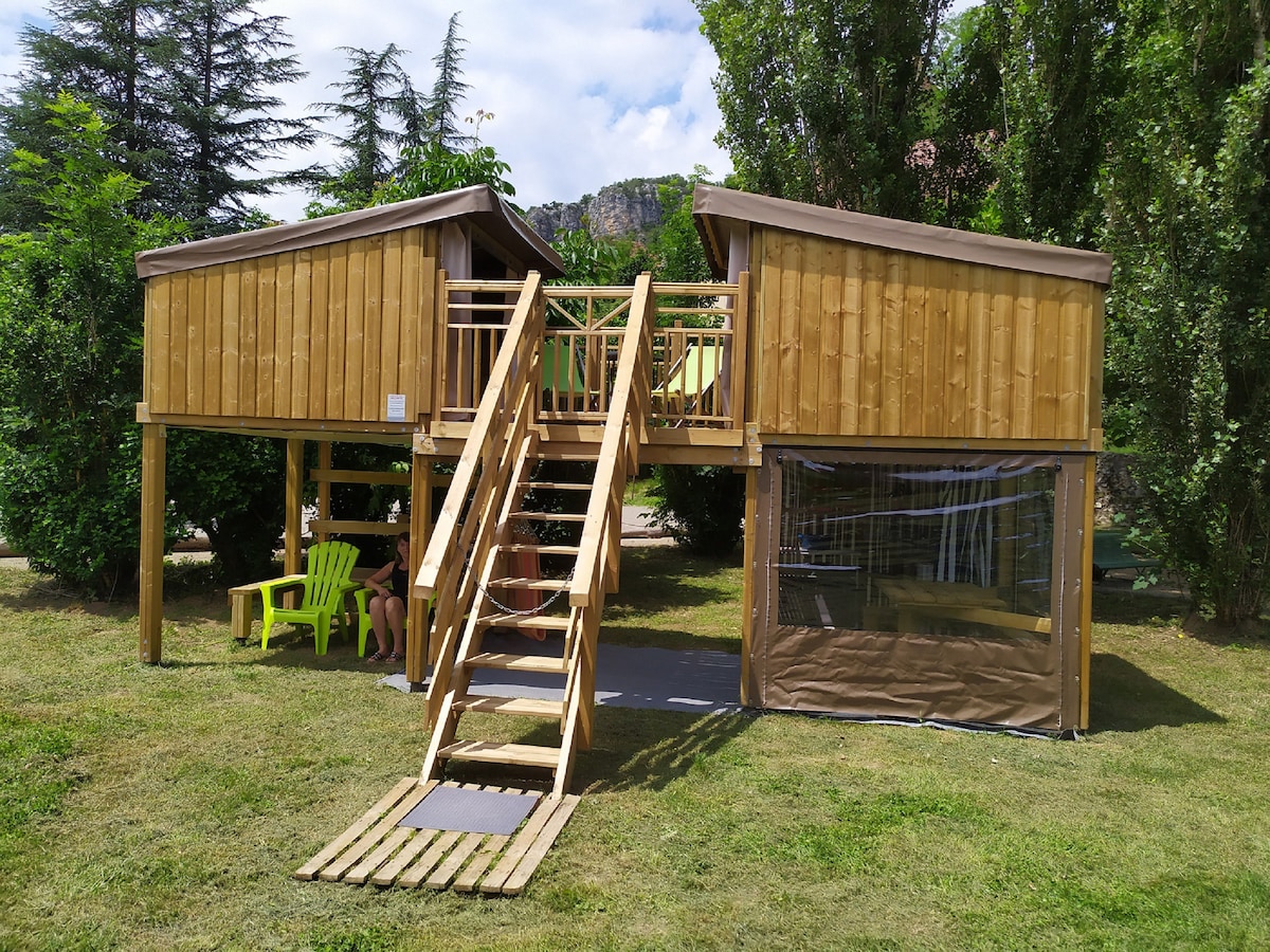 全景树屋（ Tree House ）屋顶