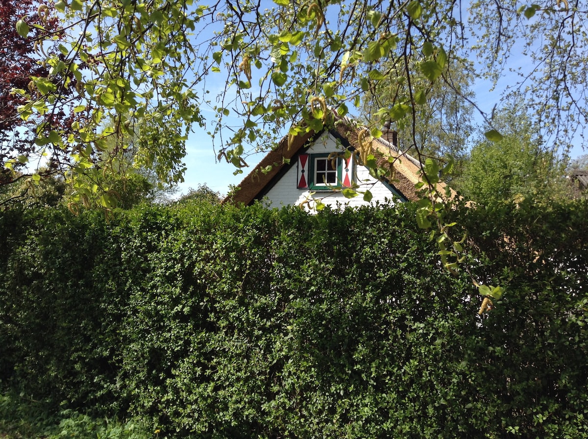 Idyllisch huisje voor jezelf in Giethoorn