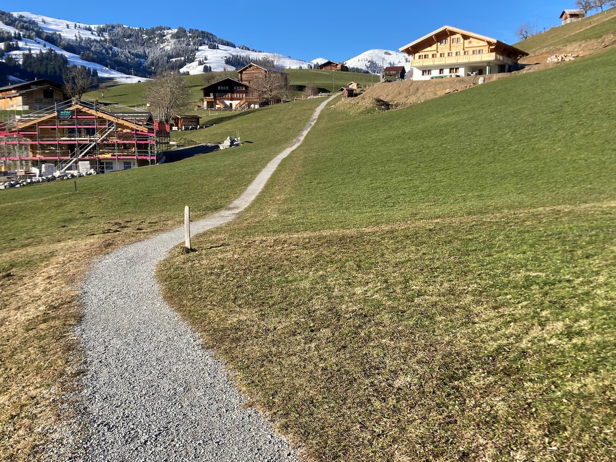 3-Zimmerwohnung mit Aussicht in Gstaad