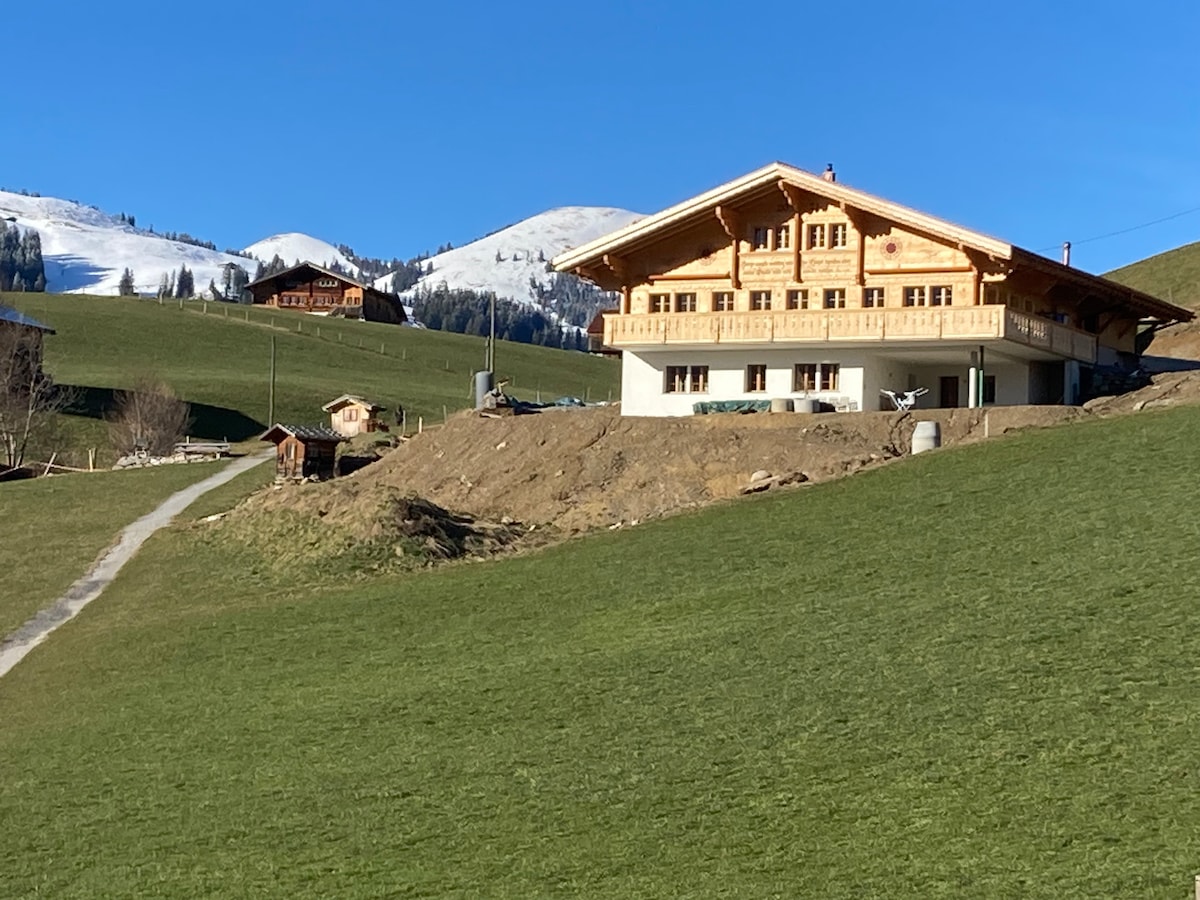 3-Zimmerwohnung mit Aussicht in Gstaad