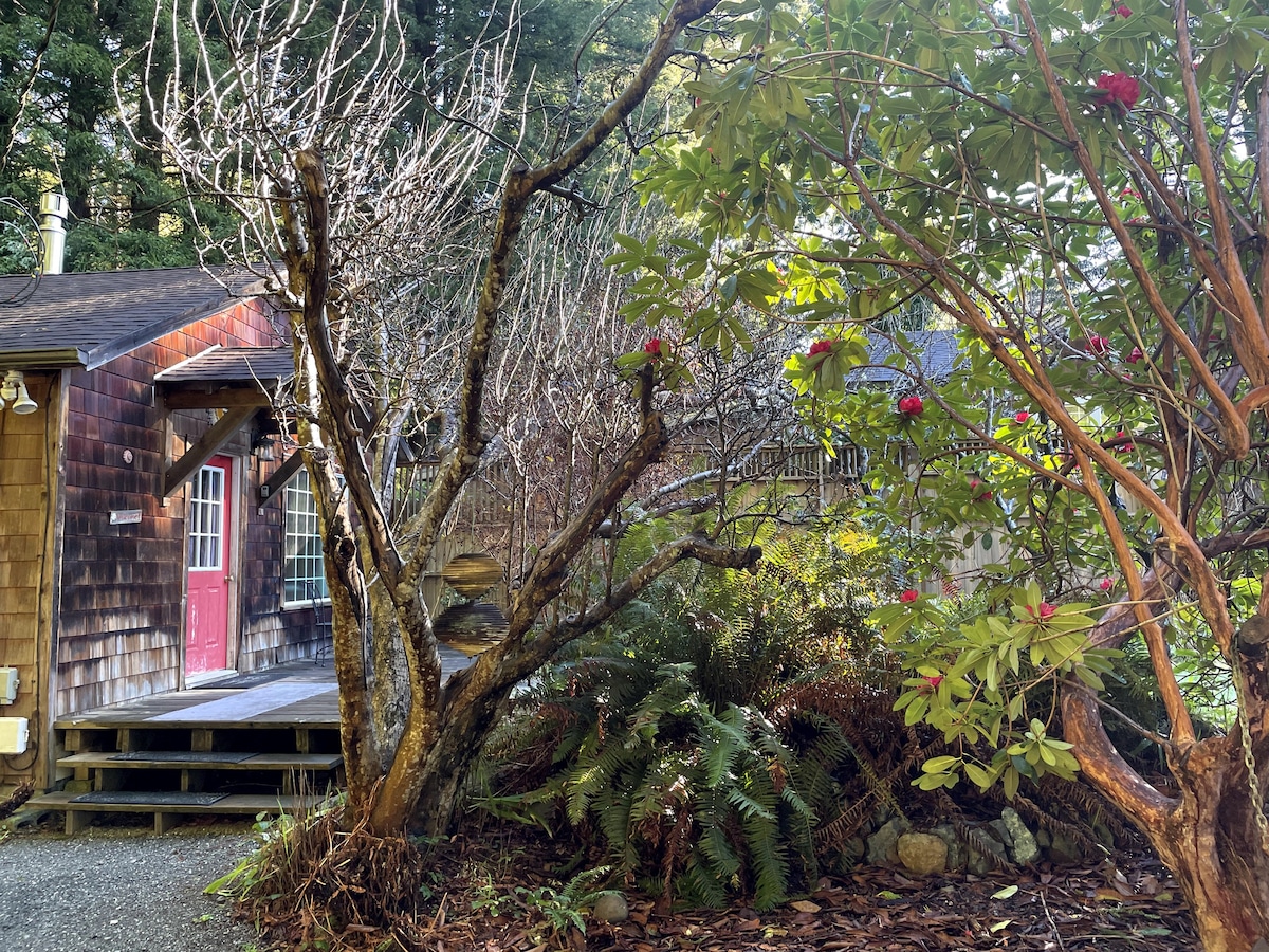 红杉林中的Popeye 's Cottage