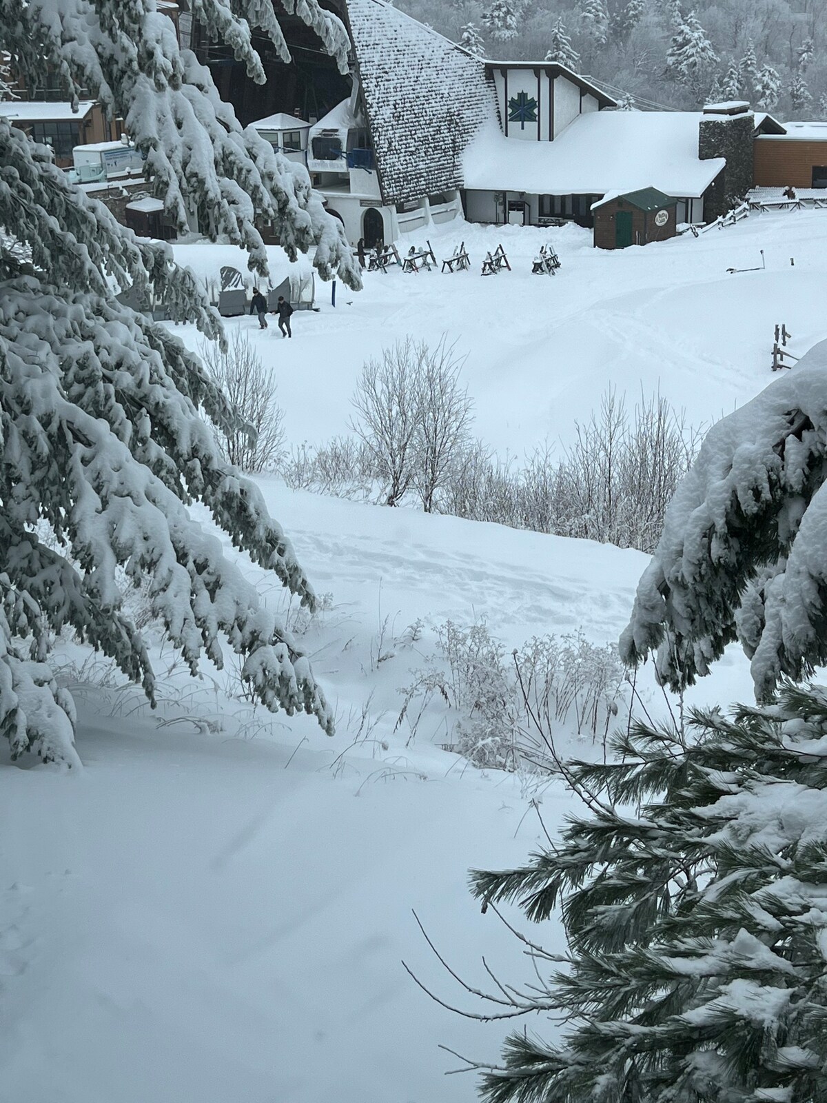 滑雪场/滑雪出出-毗邻有轨电车和地毯！