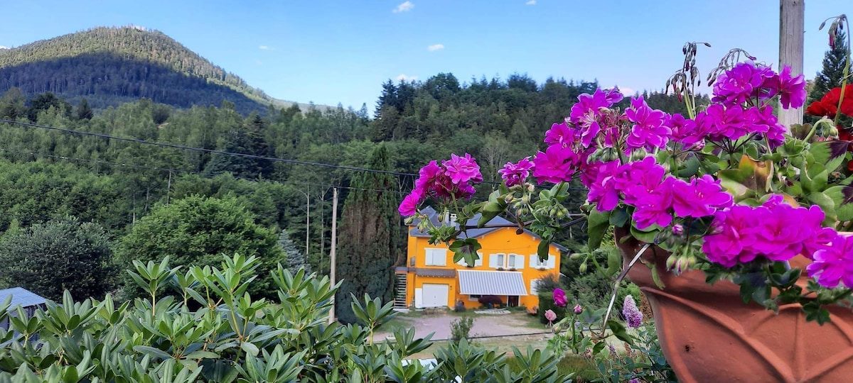 Gîte forestier du Moulin 
(Groupes de 10 pers)