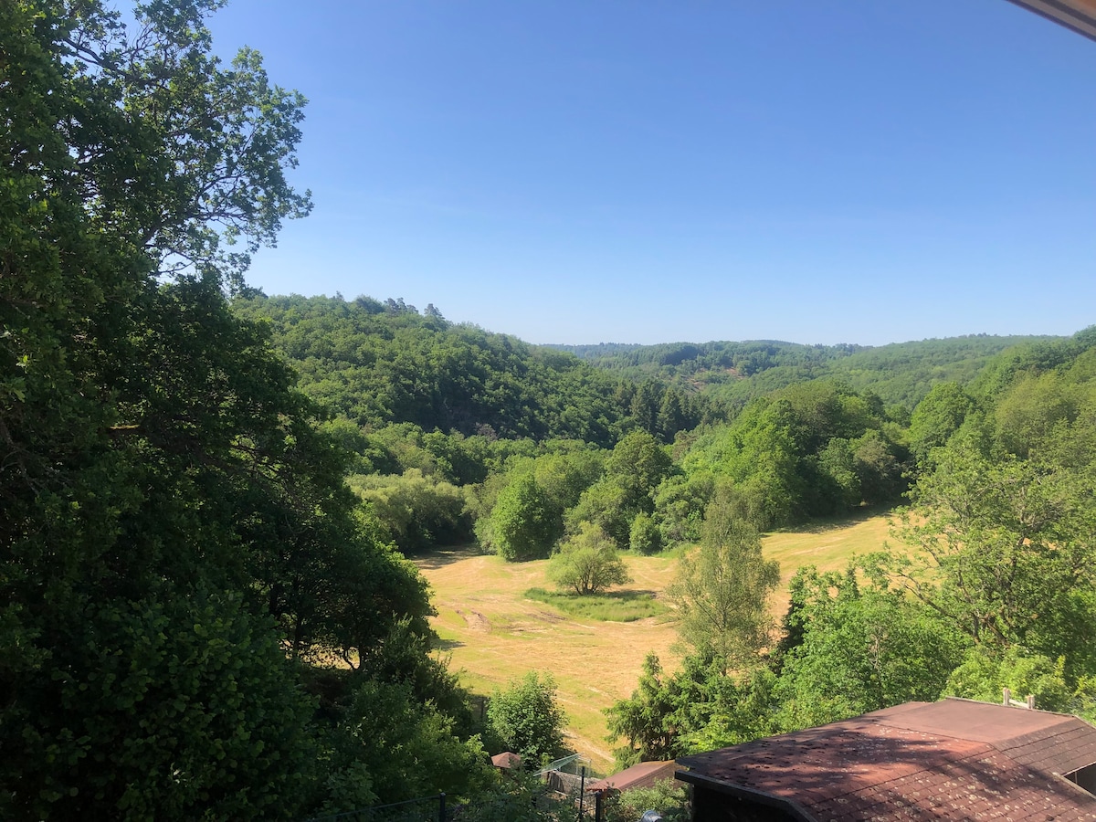 Blick ins Grüne