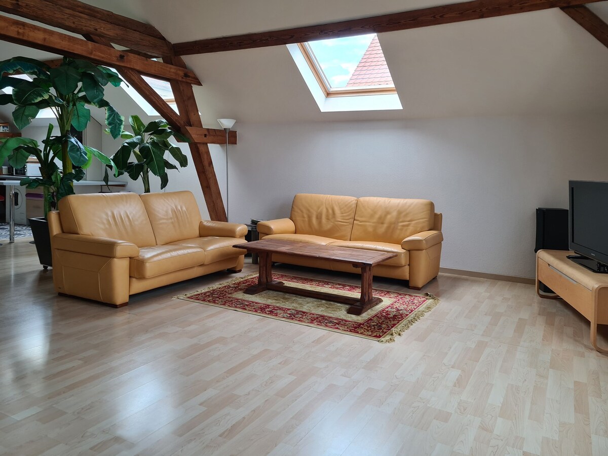 Loft atypique dans une ancienne grange Alsacienne