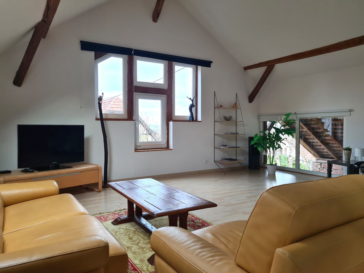 Loft atypique dans une ancienne grange Alsacienne