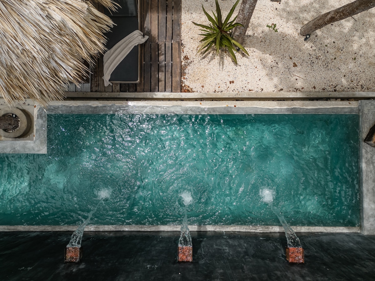 Design Luxury w/ Private Pool D1