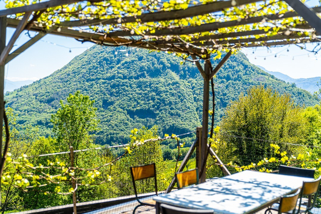 Le Néron |带泳池的度假木屋，山景