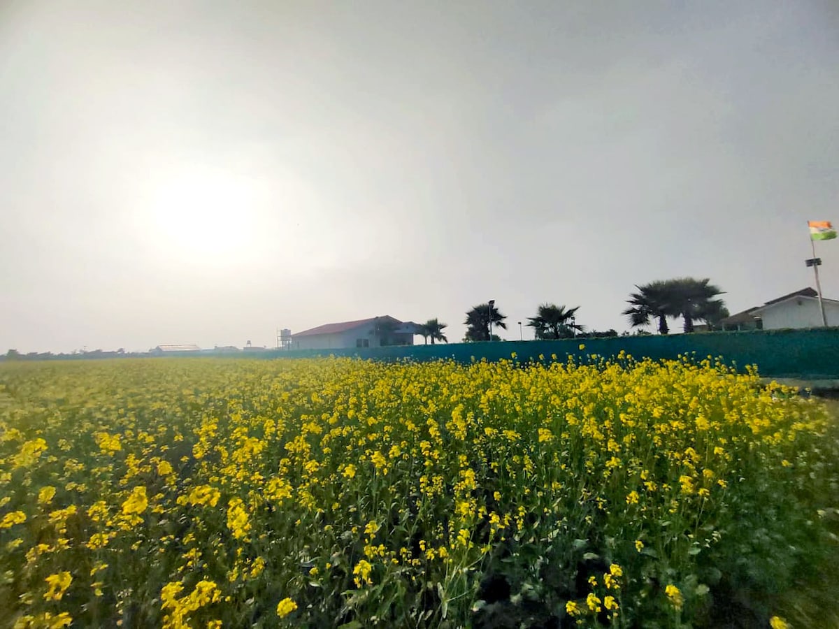 Peaceful Farm Stay in Noida