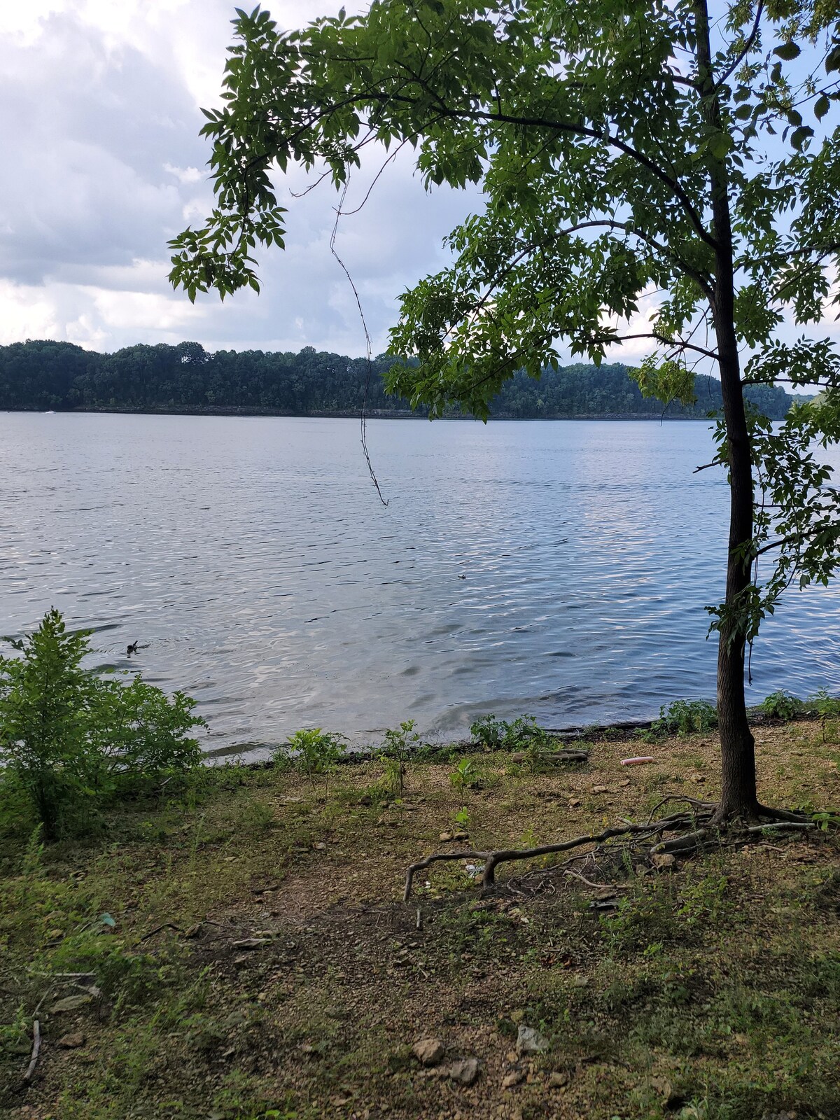 Log Cabin on the Lake