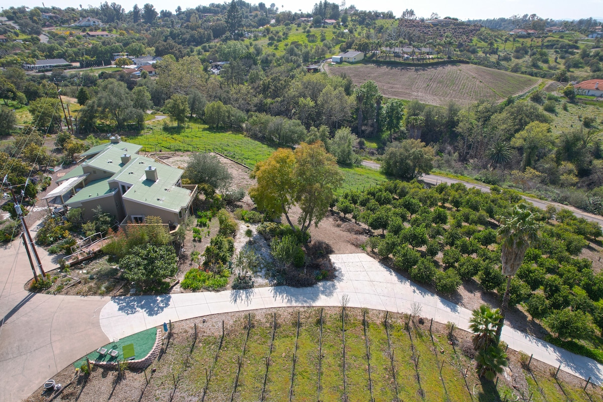 Family Home on 4 Acre Vineyard w/Views, Gardens