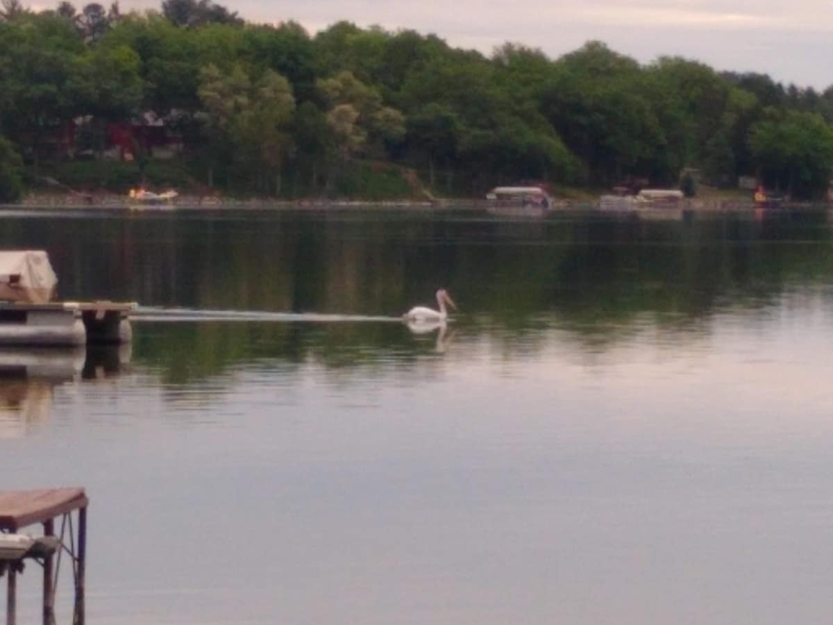 Spacious cabin on Lake Ripley