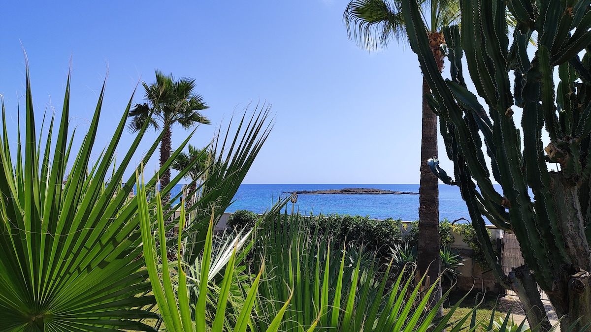 Cuore di Ognina Agave - fronte mare