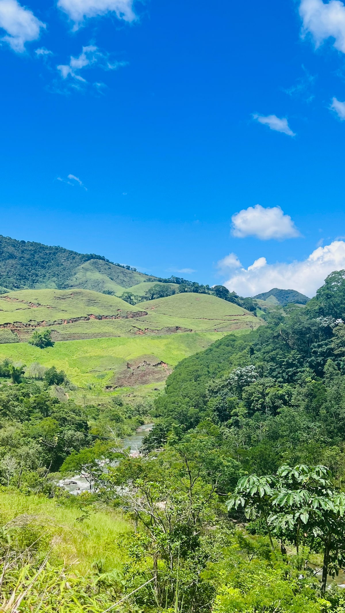 Uma casinha charmosa em meio a natureza