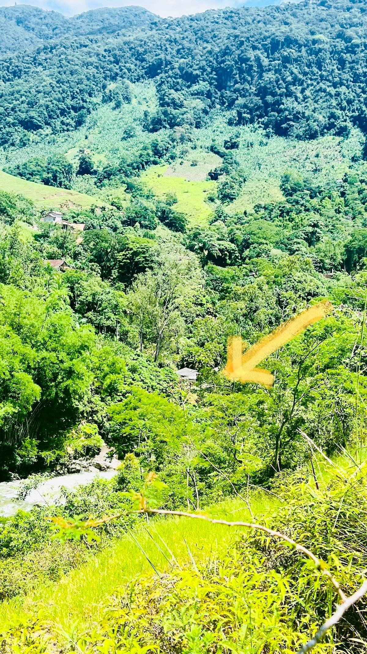 Uma casinha charmosa em meio a natureza