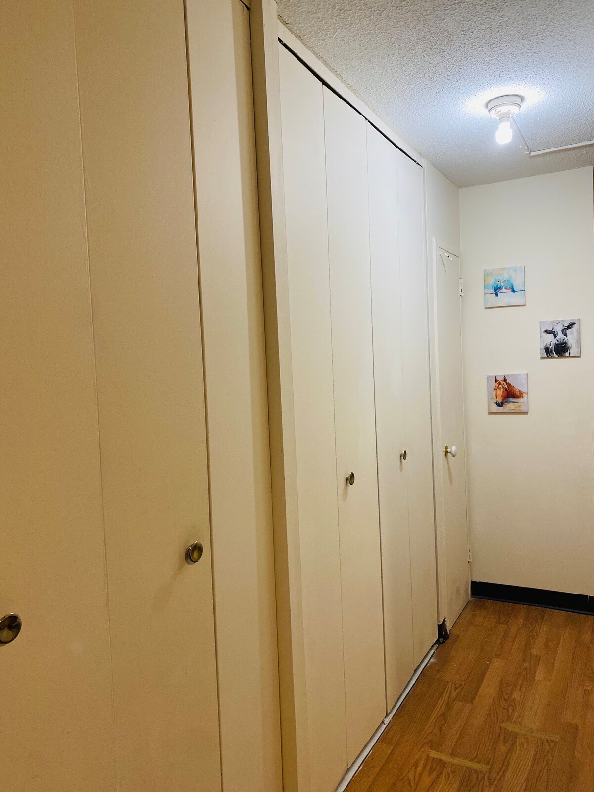 Discounted Entire 3 bedroom Apt (Queens)