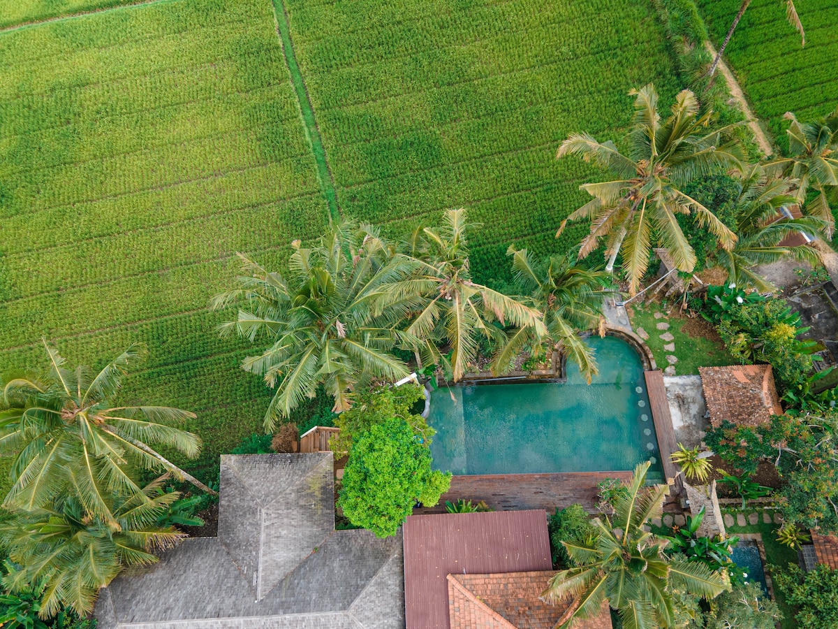 11 Room for 22 Pax at North Ubud