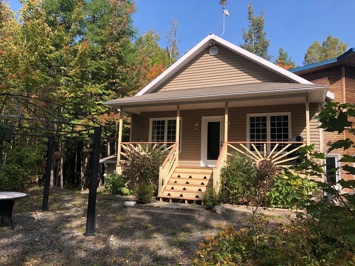 Logement en forêt - accès au lac